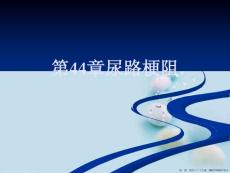 第44章尿路梗阻