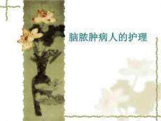 脑脓肿病人的护理