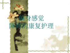 偏身感觉障碍的康复护理