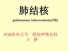 肺结核pulmonarytubercul