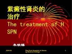 紫癜性肾炎的治疗