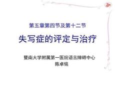 教学课件：第五章第四节失写症(陈卓铭)
