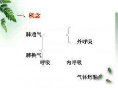 肺功能障碍
