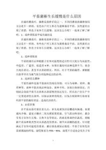 平菇菌棒生长缓慢是什么原因