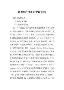 肌肉的收缩原理(材料详实)