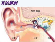 分泌性中耳炎的护理