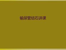 输尿管结石讲课