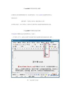 Microsoft Word 2003教程-技巧篇