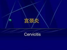 宫颈炎症--宫颈炎