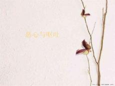 恶心与呕吐