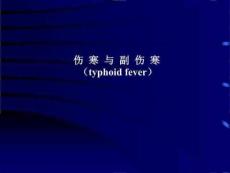 伤寒与副伤寒课件