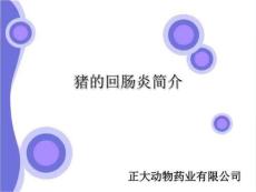 猪回肠炎猪回肠炎简介