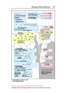 用于普通感冒的藥