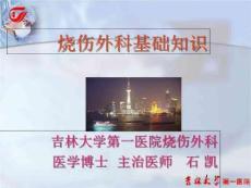 烧伤面积、补液及化学烧伤PPT