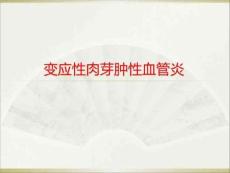 变应性肉芽肿性血管炎ppt课件
