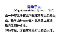 医学寄生虫学9隐孢于虫肺孢子虫