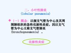 大叶性肺炎小叶性肺炎间质性肺炎