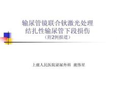 输尿管镜处理输尿管损伤教材教学课件