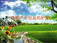 晚期产后出血的护