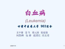 白血病讲课