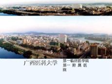 重症哮喘哮喘恶化的急诊处理