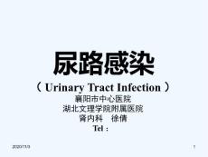 尿路感染详解