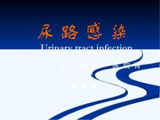 尿路感染中大