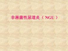皮肤性病学非淋菌性尿道炎