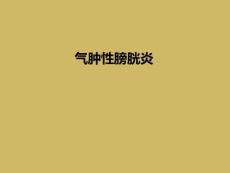 气肿性膀胱炎