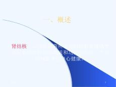 肾结核的诊断与治疗