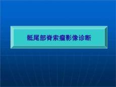 《骶骨脊索瘤》PPT课件
