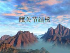 髋关节结核CT表现