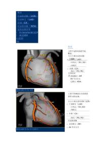 冠状动脉解剖和异常