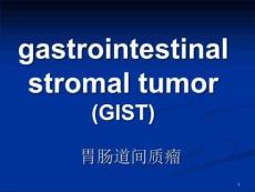 胃肠道间质瘤的诊治PPT