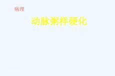 病理动脉粥样硬化