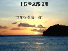 第四十四章尿路梗阻