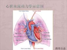 心脏瓣膜病二尖瓣关闭不全