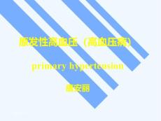 原发性高血压高血压病