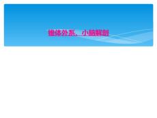 锥体外系、小脑解剖