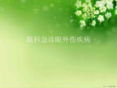 眼科急诊眼外伤疾病