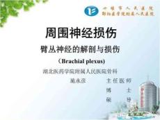 外科学臂丛神经损伤