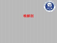 喉解剖喉阻塞