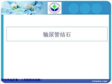 《输尿管结石》PPT课件