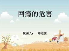 《网瘾危害》PPT课件