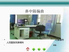 鼻中隔偏曲PPT