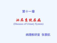 肾小球肾炎