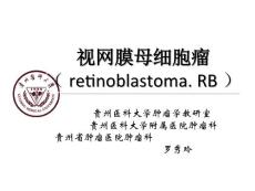 视网膜神经母细胞瘤教学版