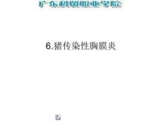 传染性胸膜炎课件