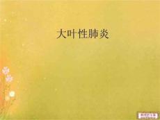 大叶性肺炎PPT课件