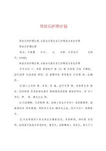 肾结石护理计划